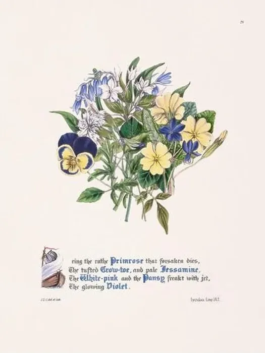 Framed Print : Floral bouquet illustration Framed Print : Floral bouquet illustration