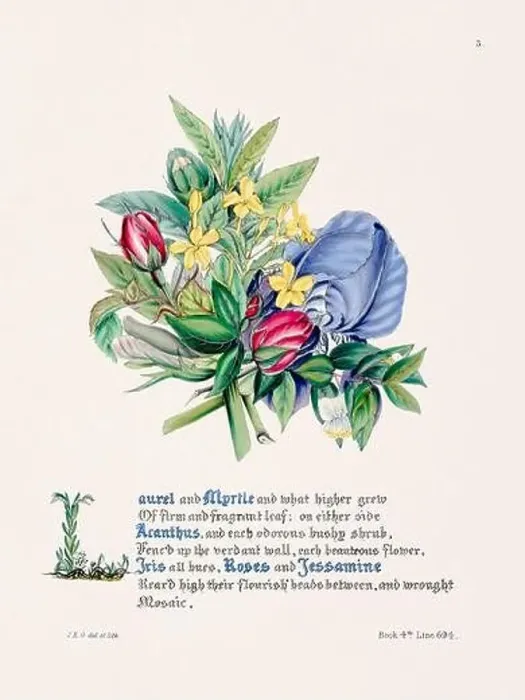 Framed Print : Floral bouquet illustration Framed Print : Floral bouquet illustration