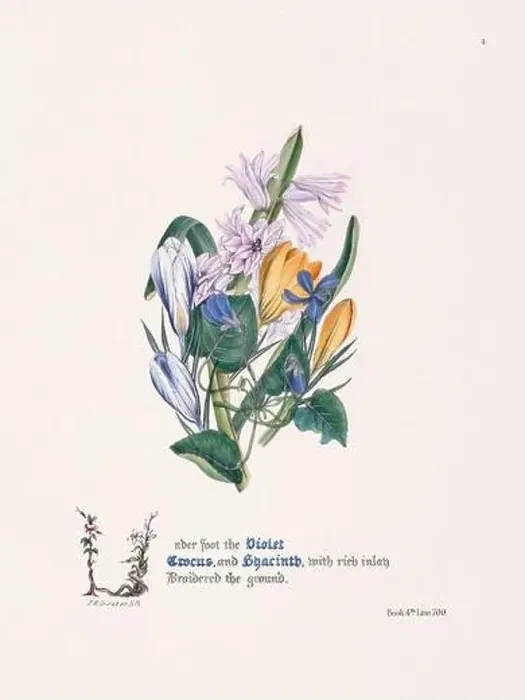 Framed Print : Floral bouquet illustration Framed Print : Floral bouquet illustration