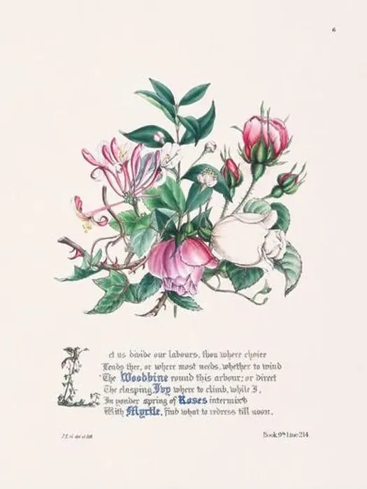 Framed Print : Floral bouquet illustration Framed Print : Floral bouquet illustration
