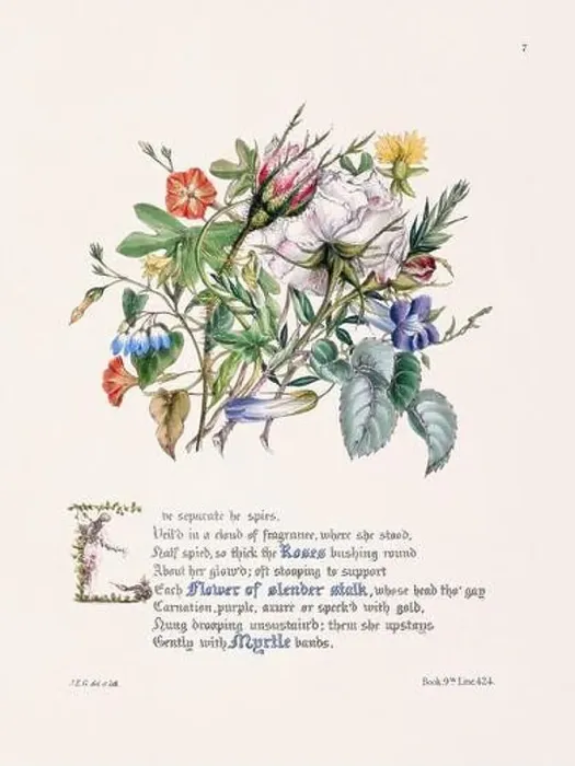Framed Print : Floral bouquet illustration