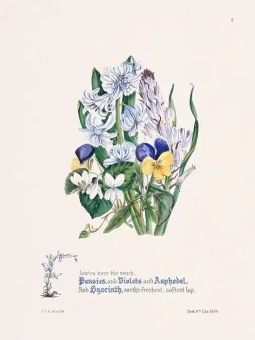 Framed Print : Floral bouquet illustration Framed Print : Floral bouquet illustration