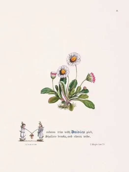 Framed Print : Floral bouquet illustration Framed Print : Floral bouquet illustration
