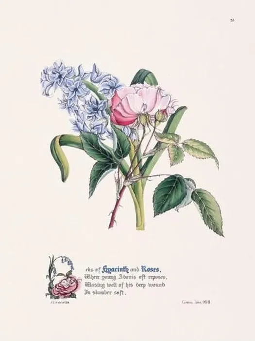 Framed Print : Floral bouquet illustration Framed Print : Floral bouquet illustration