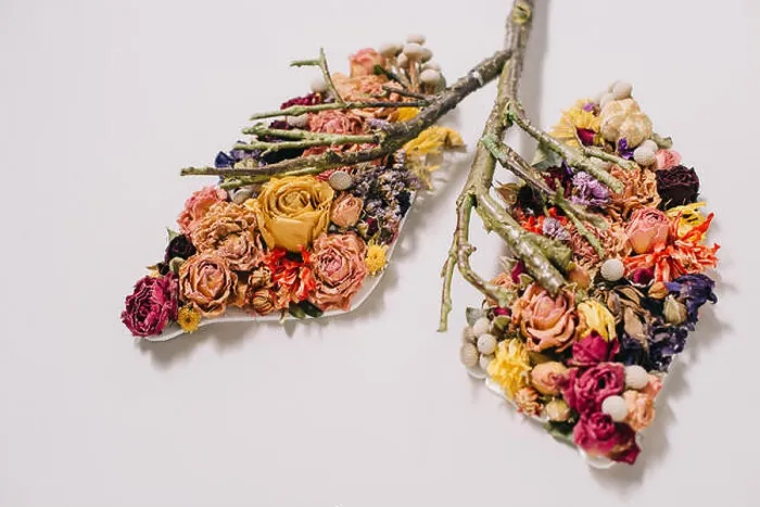 Framed Print : floral composition with dried flowers and twigs in shape of lungs on grey Framed Print : floral composition with dried flowers and twigs in shape of lungs on grey