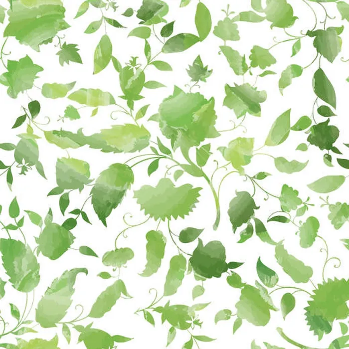 Framed Print : Floral seamless pattern. Flower watercolor background. Floral tiling spring texture with flowers and leaves Framed Print : Floral seamless pattern. Flower watercolor background. Floral tiling spring texture with flowers and leaves