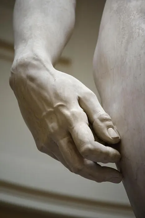 Framed Print : Florence. Italy. Michelangelo's statue of David (1501-1504) Framed Print : Florence. Italy. Michelangelo's statue of David (1501-1504)