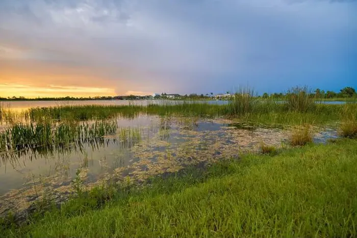 Framed Print : Florida lake nature at sunset. Recreational wildlife area in Wellen park in Venice Framed Print : Florida lake nature at sunset. Recreational wildlife area in Wellen park in Venice