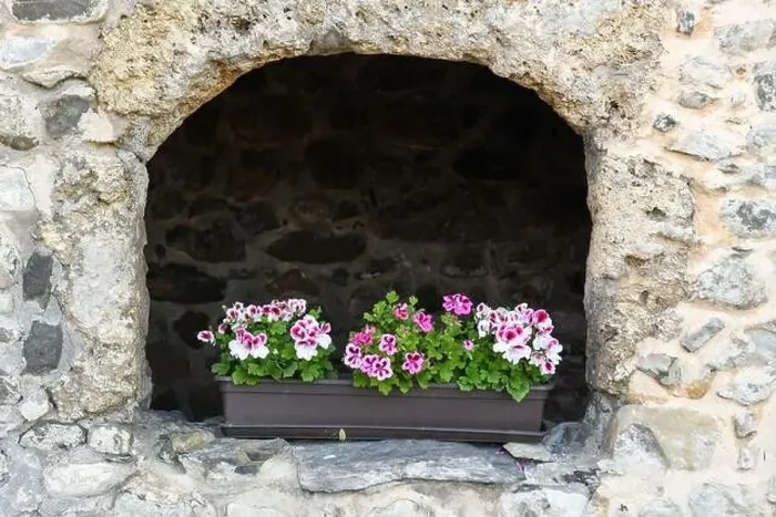 Framed Print : Flower pot at the village of Werdenberg on Switzerland Framed Print : Flower pot at the village of Werdenberg on Switzerland