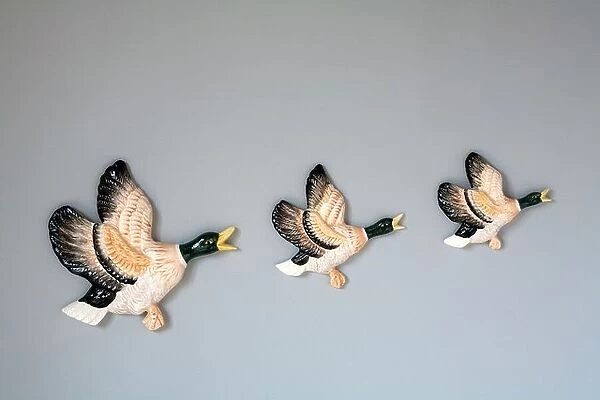 Flying duck ornaments on wall