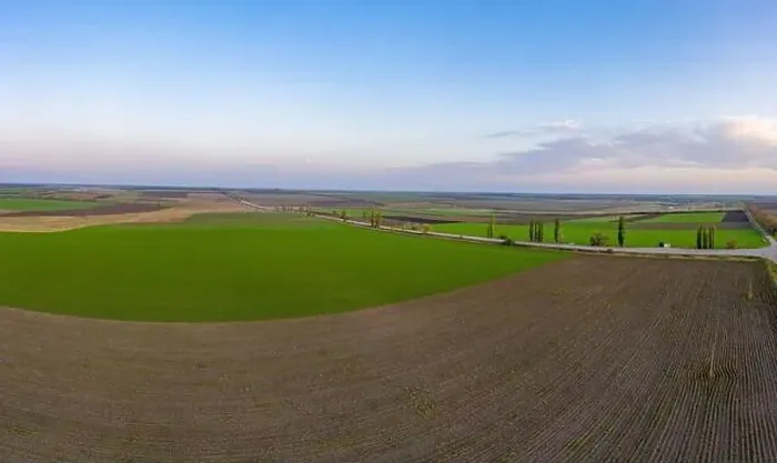 Framed Print : Flying over a field of growing wheat. Aerial panoramic drone shot Framed Print : Flying over a field of growing wheat. Aerial panoramic drone shot