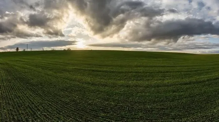 Framed Print : Flying over a field of growing wheat. Aerial panoramic drone shot Framed Print : Flying over a field of growing wheat. Aerial panoramic drone shot
