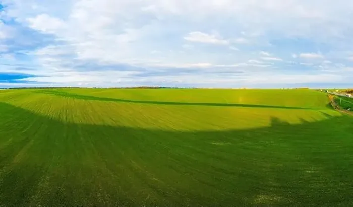 Framed Print : Flying over a field of growing wheat. Aerial panoramic drone shot Framed Print : Flying over a field of growing wheat. Aerial panoramic drone shot