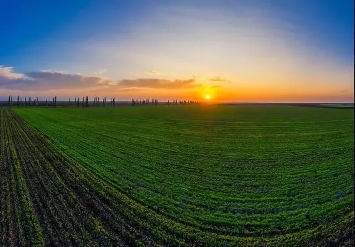 Framed Print : Flying over a field of growing wheat. Aerial panoramic drone shot Framed Print : Flying over a field of growing wheat. Aerial panoramic drone shot
