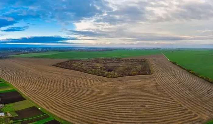 Framed Print : Flying over a field of growing wheat. Aerial panoramic drone shot Framed Print : Flying over a field of growing wheat. Aerial panoramic drone shot
