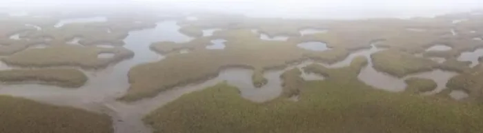 Framed Print : Fog drifts over an extensive salt marsh in Pleasant Bay, Cape Cod, Massachusetts. This type of habitat is vital feeding grounds for migrating Framed Print : Fog drifts over an extensive salt marsh in Pleasant Bay, Cape Cod, Massachusetts. This type of habitat is vital feeding grounds for migrating