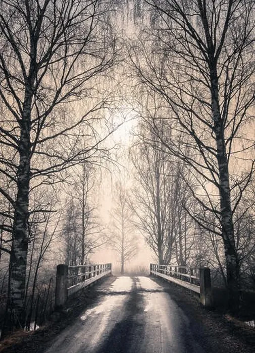 Framed Print : Foggy landscape with old bridge and road at spring morning in Finland