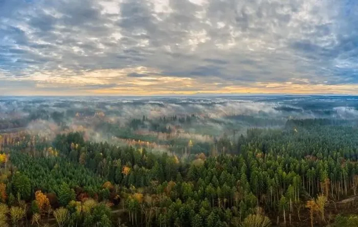 Framed Print : Foggy morning as an aerial above a autumn impressive colored forest