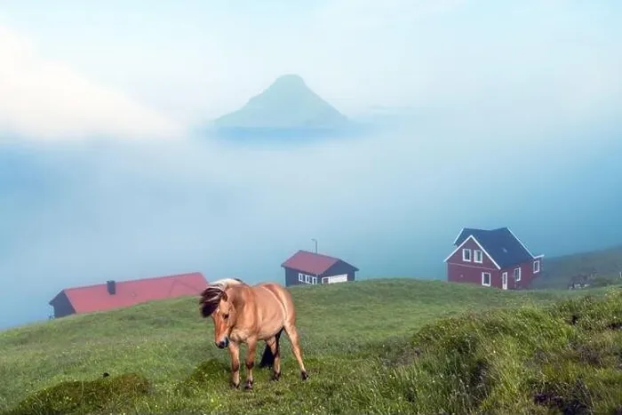 Framed Print : Foggy morning view of a houses with red roof in the Velbastadur village on Streymoy island, Faroe islands, Denmark. Landscape photography Framed Print : Foggy morning view of a houses with red roof in the Velbastadur village on Streymoy island, Faroe islands, Denmark. Landscape photography