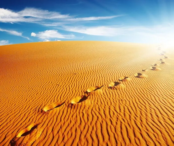 Framed Print : Footprints on sand dune, Sahara Desert, Algeria Framed Print : Footprints on sand dune, Sahara Desert, Algeria