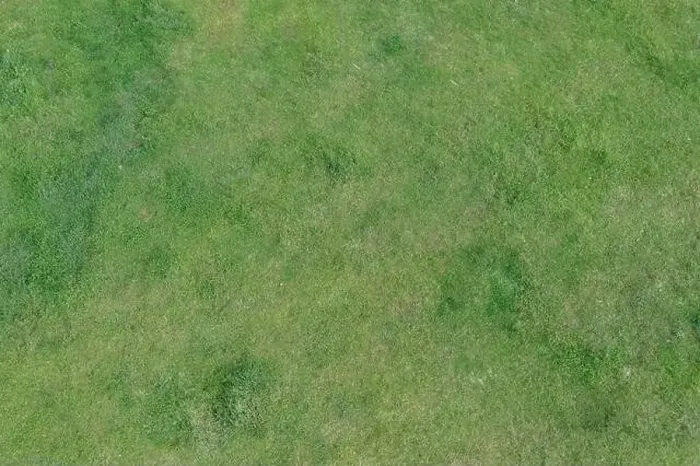 Framed Print : Empty forest glade, aerial drone top view. Green grass background, Spring season Framed Print : Empty forest glade, aerial drone top view. Green grass background, Spring season