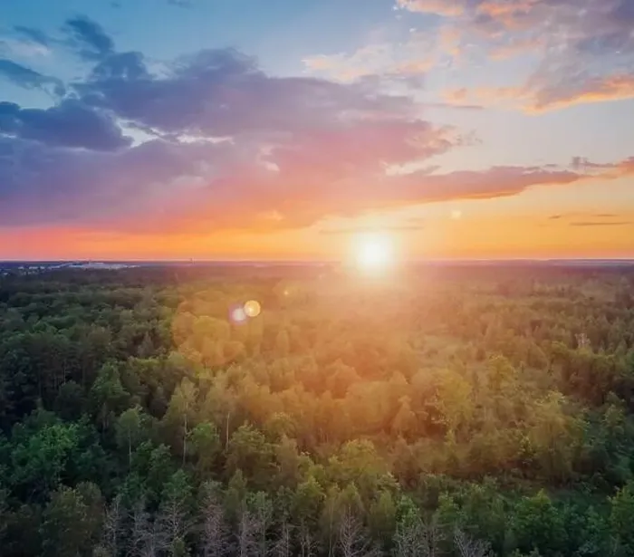 Framed Print : Forest at sunset. The sun shines over the treetops against a beautiful cloudy sky. Aerial view