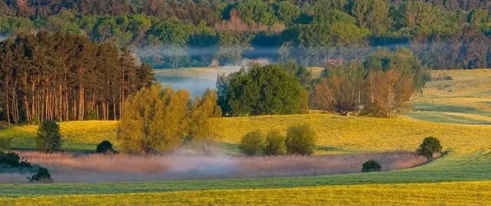 Framed Print : forests and fields in the first rays of sunny, foggy morning Framed Print : forests and fields in the first rays of sunny, foggy morning