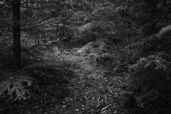 Framed Print : Förslöv, Skåne, Sweden. Oktober 9 2024. Hålehall hiking area Framed Print : Förslöv, Skåne, Sweden. Oktober 9 2024. Hålehall hiking area