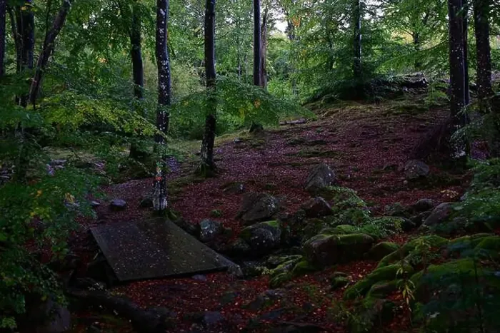 Framed Print : Förslöv, Skåne, Sweden. Oktober 9 2024. Hålehall hiking area