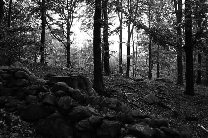Framed Print : Förslöv, Skåne, Sweden. Oktober 9 2024. Hålehall hiking area Framed Print : Förslöv, Skåne, Sweden. Oktober 9 2024. Hålehall hiking area