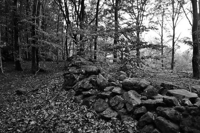 Framed Print : Förslöv, Skåne, Sweden. Oktober 9 2024. Hålehall hiking area Framed Print : Förslöv, Skåne, Sweden. Oktober 9 2024. Hålehall hiking area