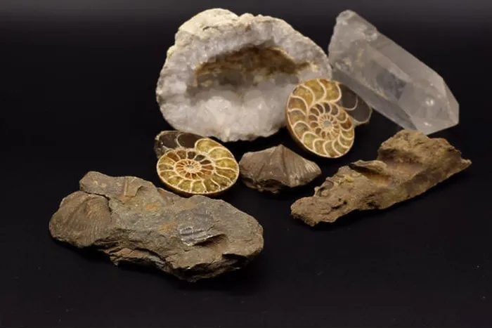 Framed Print : Fossils and gemstones including a geode, brachiopods, and crinoids arranged on a seamless black background Framed Print : Fossils and gemstones including a geode, brachiopods, and crinoids arranged on a seamless black background