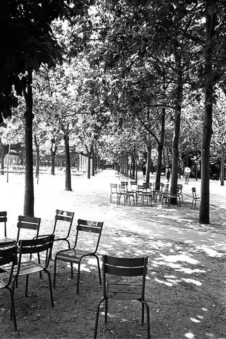 Framed Print : France Paris Jardin du Luxembourg Framed Print : France Paris Jardin du Luxembourg