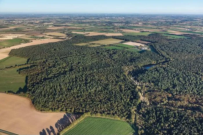 Framed Print : France, Vendee, Les Brouzils, Grasla (or Gralas) state owned forest was a refuge during the Vendee war (aerial view) Framed Print : France, Vendee, Les Brouzils, Grasla (or Gralas) state owned forest was a refuge during the Vendee war (aerial view)