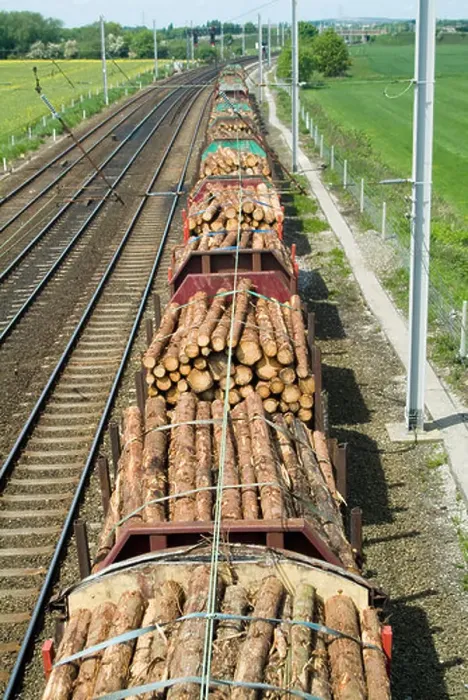 Framed Print : Freight train carrying a cargo of logs on the West Coast line near Warrington in Cheshire Framed Print : Freight train carrying a cargo of logs on the West Coast line near Warrington in Cheshire