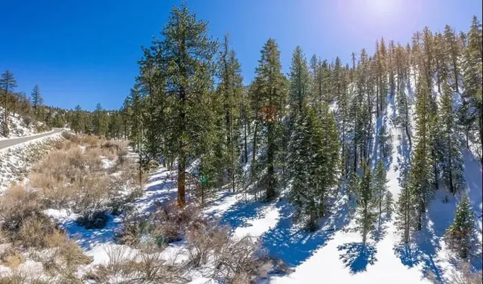 Framed Print : A fresh blanket of snow brings a new version of beauty to the Southern Californian mountains Framed Print : A fresh blanket of snow brings a new version of beauty to the Southern Californian mountains