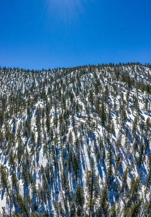 Framed Print : A fresh blanket of snow brings a new version of beauty to the Southern Californian mountains