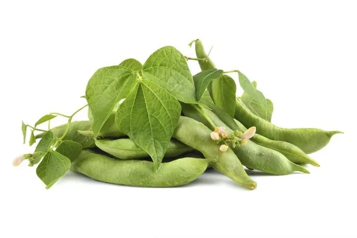 Framed Print : Fresh edamame soy beans with flowers and leaves on white background Framed Print : Fresh edamame soy beans with flowers and leaves on white background