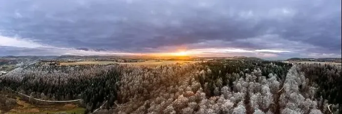 Framed Print : Frozen forest tree in the sunset light in aerial view Framed Print : Frozen forest tree in the sunset light in aerial view
