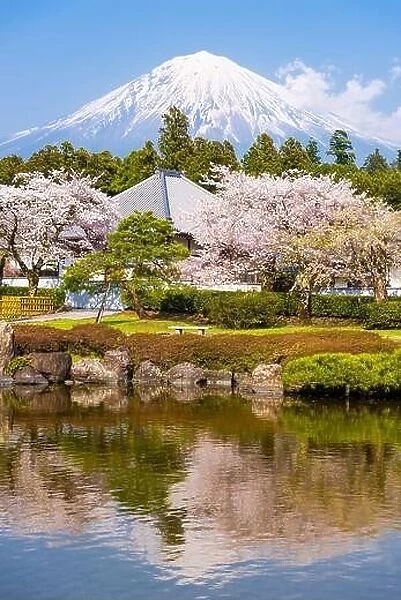 Fujinomiya, Shizuoka, Japan with Mt. Fuji in spring