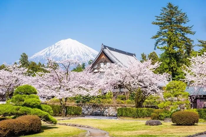 Framed Print : Fujinomiya, Shizuoka, Japan with Mt. Fuji in spring Framed Print : Fujinomiya, Shizuoka, Japan with Mt. Fuji in spring