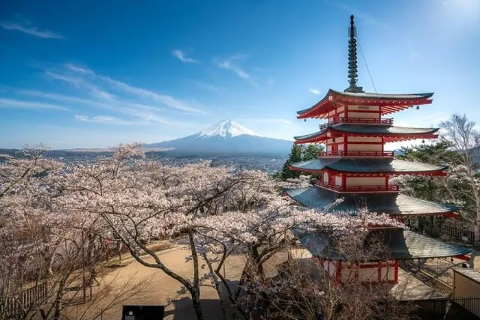 Framed Print : Fujiyoshida, Japan at Chureito Pagoda and Mt. Fuji in the spring with cherry blossoms full bloom during sunrise. Japan Landscape and nature travel, or Framed Print : Fujiyoshida, Japan at Chureito Pagoda and Mt. Fuji in the spring with cherry blossoms full bloom during sunrise. Japan Landscape and nature travel, or