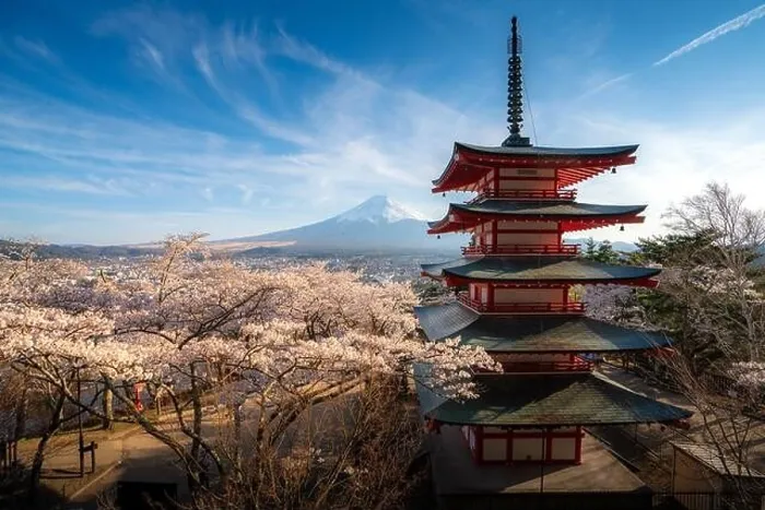 Framed Print : Fujiyoshida, Japan at Chureito Pagoda and Mt. Fuji in the spring with cherry blossoms full bloom during sunrise. Japan Landscape and nature travel, or Framed Print : Fujiyoshida, Japan at Chureito Pagoda and Mt. Fuji in the spring with cherry blossoms full bloom during sunrise. Japan Landscape and nature travel, or