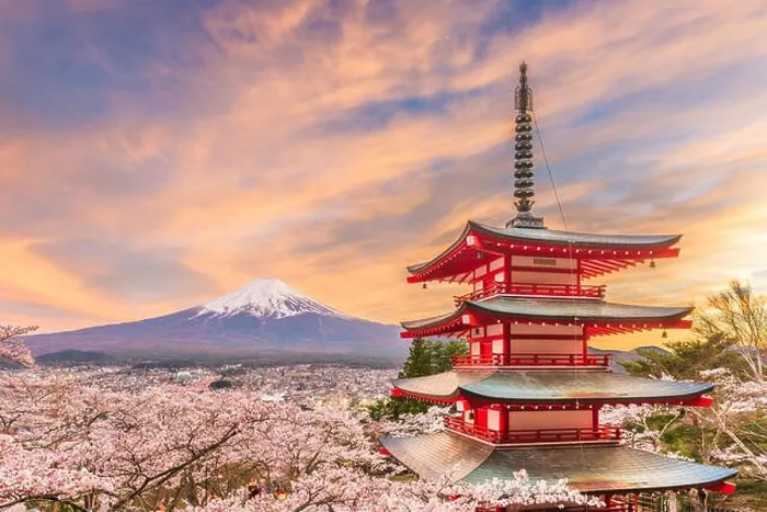 Framed Print : Fujiyoshida, Japan view of Mt. Fuji and pagoda in spring season with cherry blossoms at dusk Framed Print : Fujiyoshida, Japan view of Mt. Fuji and pagoda in spring season with cherry blossoms at dusk