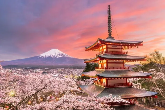 Framed Print : Fujiyoshida, Japan view of Mt. Fuji and pagoda in spring season with cherry blossoms at dusk Framed Print : Fujiyoshida, Japan view of Mt. Fuji and pagoda in spring season with cherry blossoms at dusk