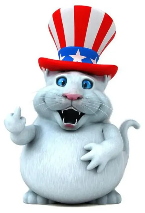 Framed Print : Fun 3D cartoon cat with an uncle sam hat