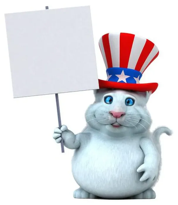 Framed Print : Fun 3D cartoon cat with an uncle sam hat Framed Print : Fun 3D cartoon cat with an uncle sam hat