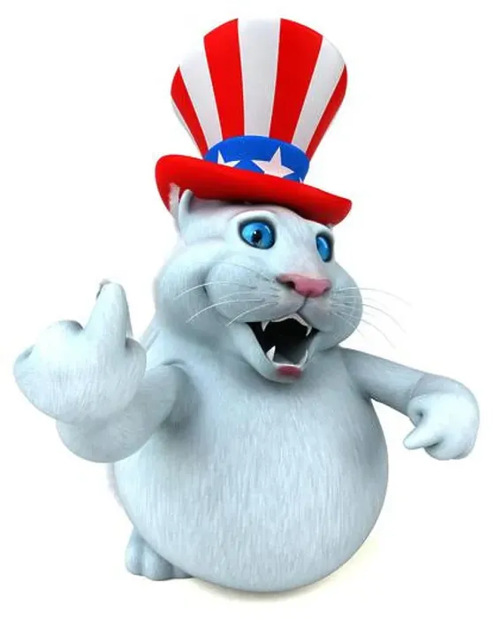 Framed Print : Fun 3D cartoon cat with an uncle sam hat Framed Print : Fun 3D cartoon cat with an uncle sam hat