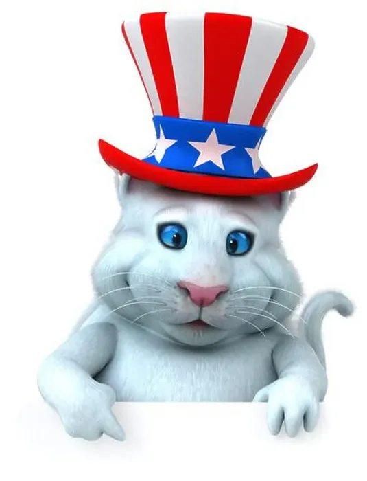 Framed Print : Fun 3D cartoon cat with an uncle sam hat Framed Print : Fun 3D cartoon cat with an uncle sam hat