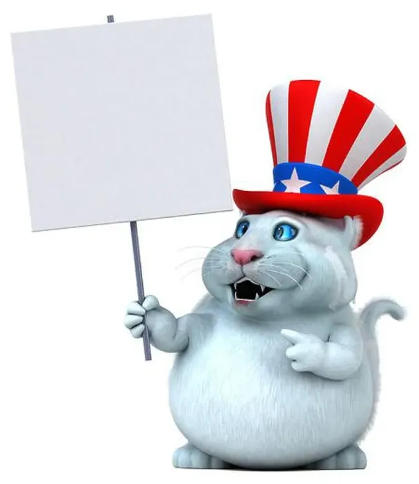 Framed Print : Fun 3D cartoon cat with an uncle sam hat Framed Print : Fun 3D cartoon cat with an uncle sam hat